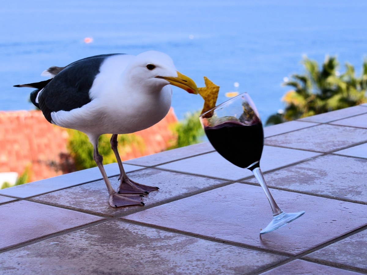 I could be in Avalon…you never&nbsp;know.