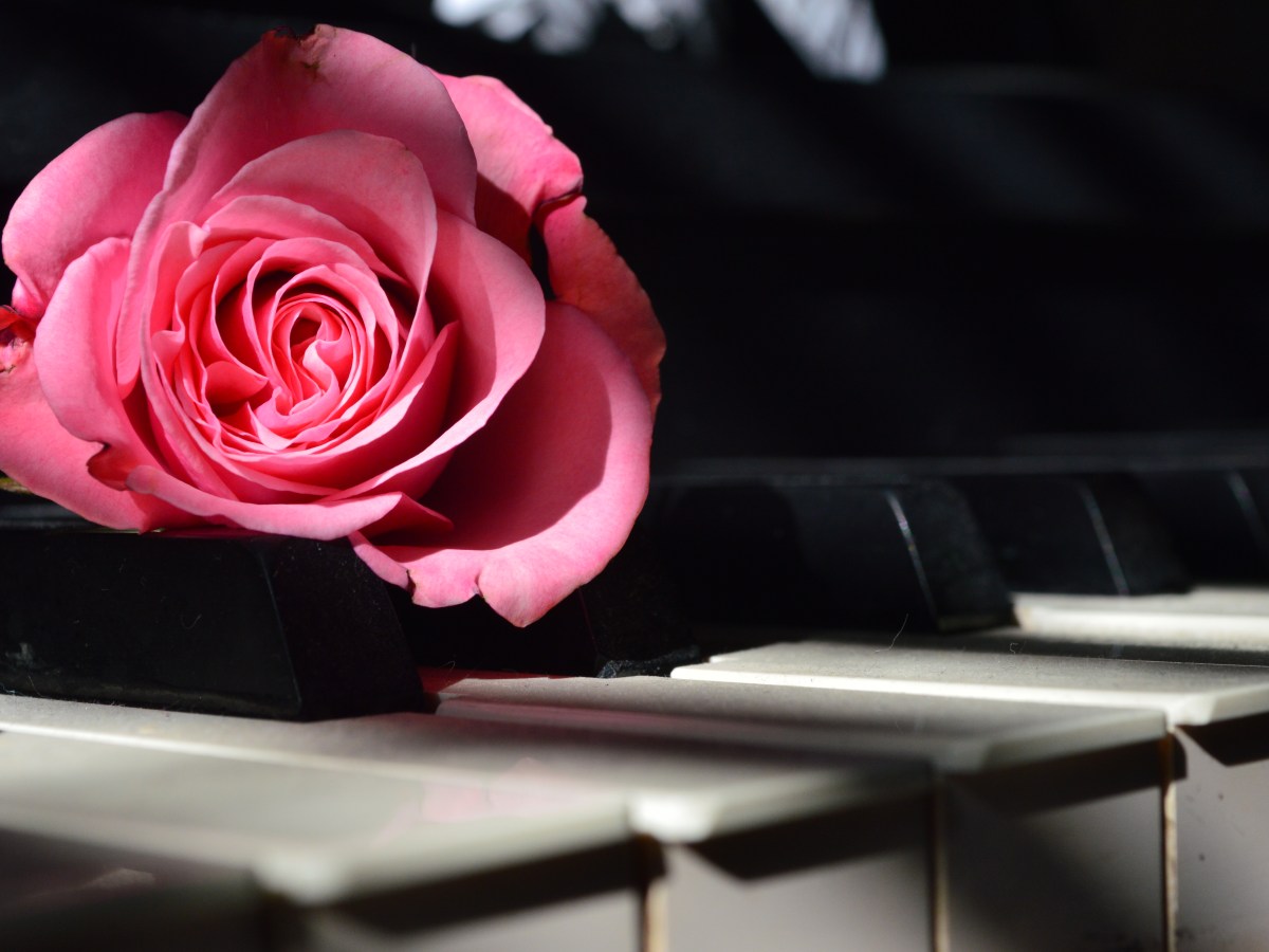 You never know where you’ll find some heart and&nbsp;soul.