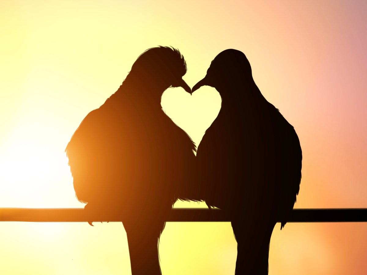 Wading into writing contest&nbsp;waters.