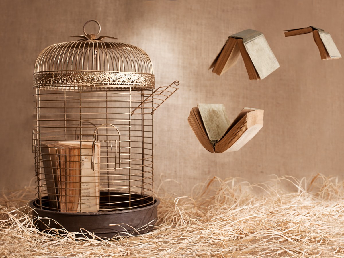 Can banning be the best&nbsp;advertisement?