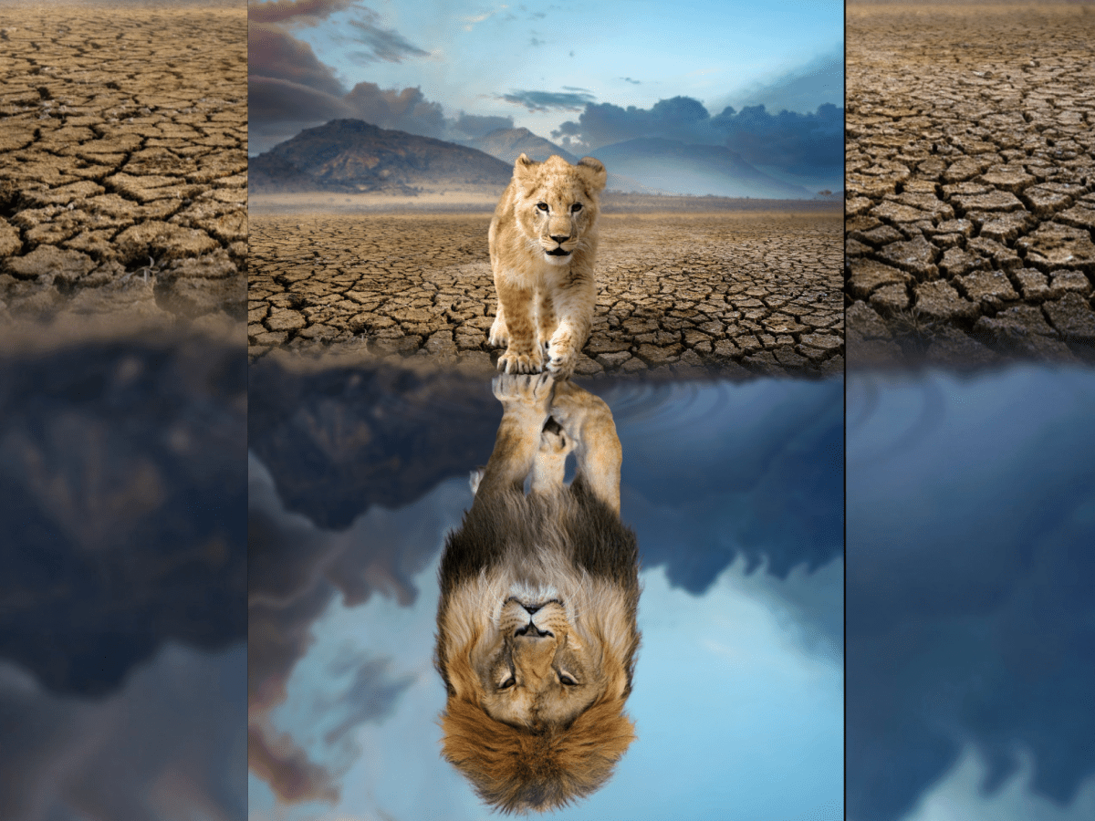 A 45,000 person&nbsp;problem.