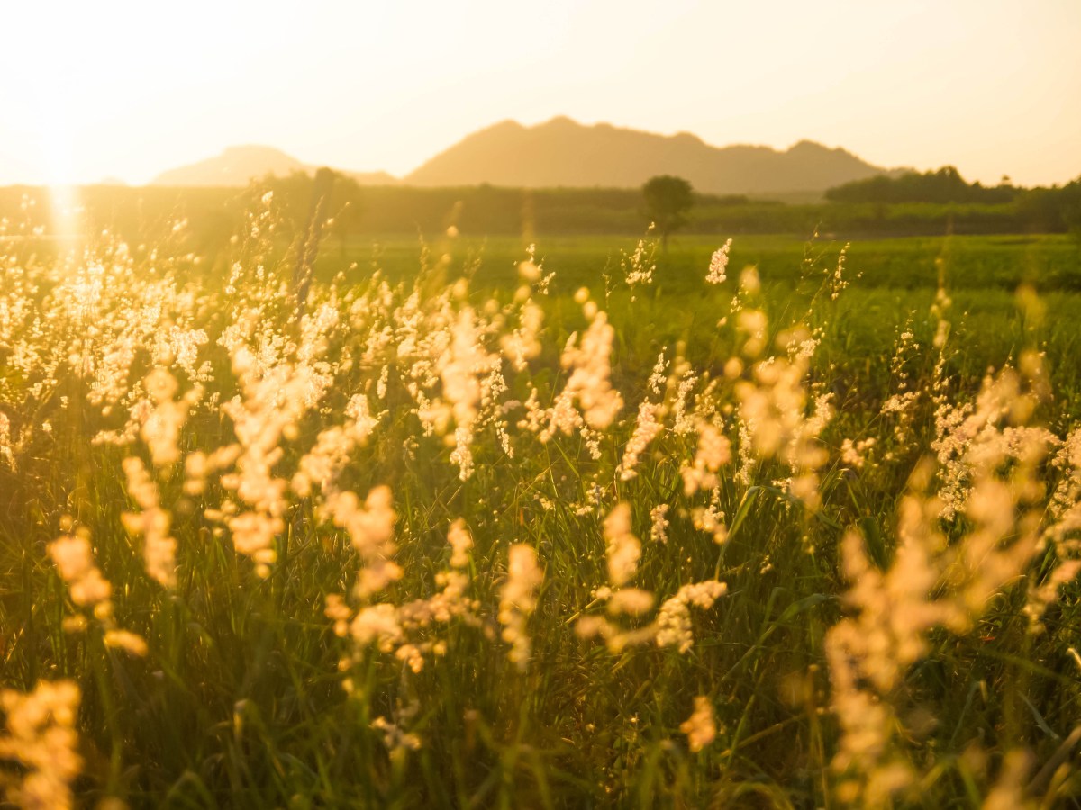 “Are there no&nbsp;prisons?”