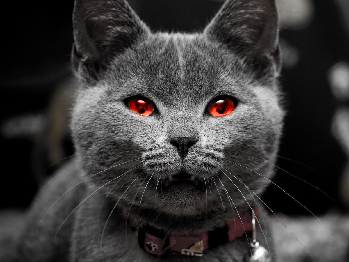 Not giving up the&nbsp;Ghost